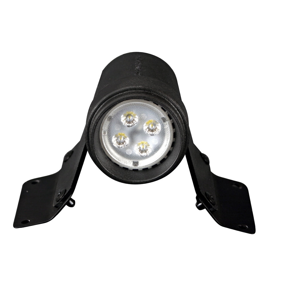 FORESPAR ML-2 LED COMBINATION DECK/STEAMING LIGHT